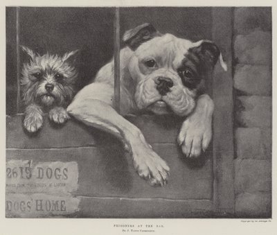 Vangit baarissa tekijältä James Yates Carrington